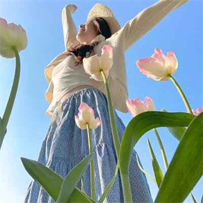 帝国浩劫:美国内战
